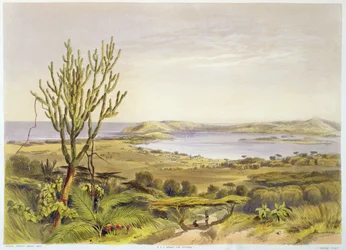 Durban, Port Natal, tavola 28 da 